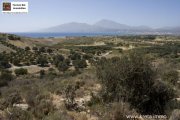 Neo Kalamaki Kreta, Kalamaki Baugrundstück 6.000m² purer kretischer Zauber. Grundstück kaufen